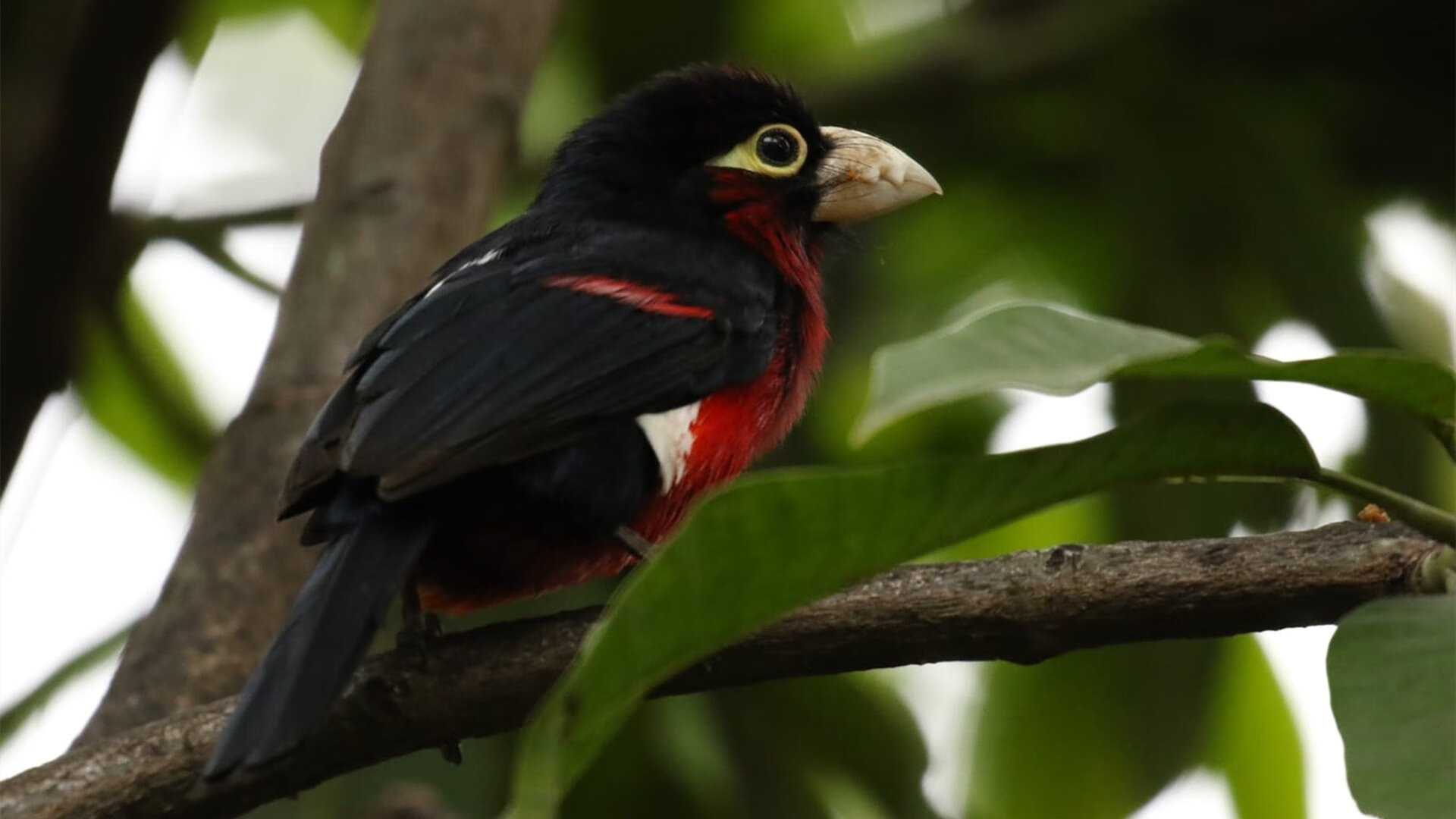 开云体育-体育教学过程中的性别平等实践调研，体育领域的男女平等问题法语  第1张